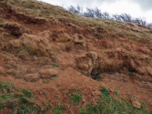 Claxby Ironstone Formation exposure, Nettleton Hill 